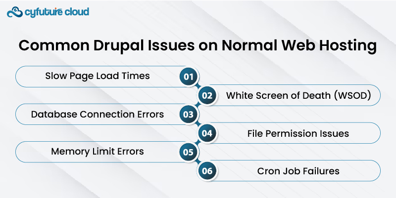 Drupal Web Hosting 